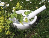 phytotherapie-hildegard-von-bingen