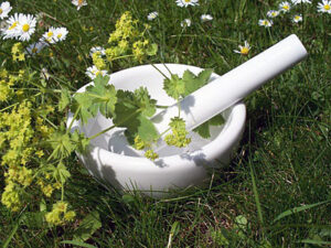 phytotherapie-hildegard-von-bingen